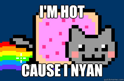 I'm Hot Cause I nyan  Nyan cat