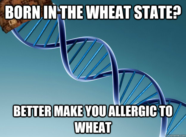 Born in the Wheat State? Better make you allergic to Wheat - Born in the Wheat State? Better make you allergic to Wheat  Scumbag Genetics