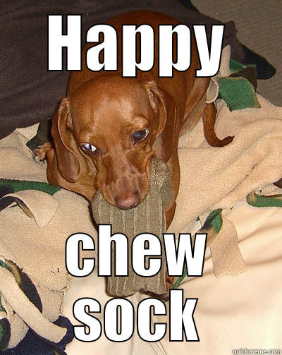 HAPPY CHEW SOCK Misc