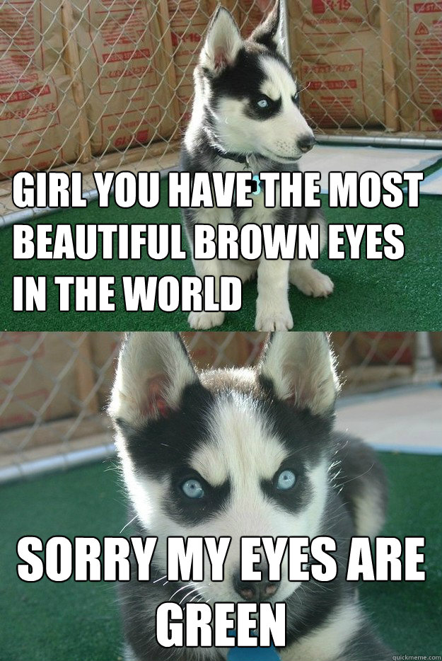 Girl you have the most beautiful brown eyes in the world sorry my eyes are green  Insanity puppy