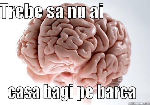 TREBE SA NU AI                CASA BAGI PE BARCA  Scumbag Brain