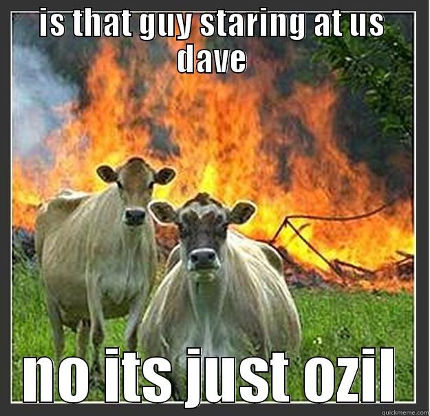 IS THAT GUY STARING AT US DAVE NO ITS JUST OZIL Evil cows