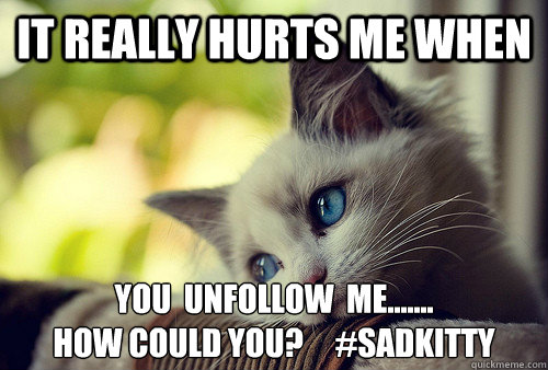 It really hurts me when YOU  UNFOLLOW  ME.......   
how could you?     #sadkitty
  First World Problems Cat