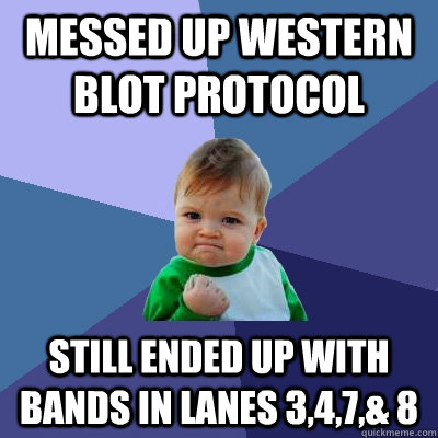 messed up western blot protocol still ended up with bands in lanes 3,4,7,& 8  Success Kid