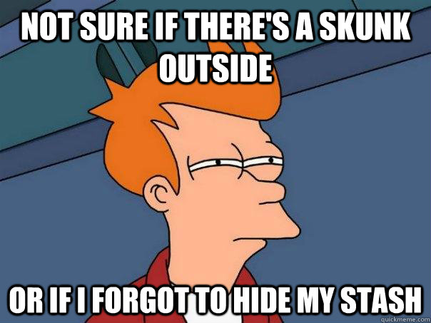 Not sure if there's a skunk outside Or if i forgot to hide my stash - Not sure if there's a skunk outside Or if i forgot to hide my stash  Futurama Fry