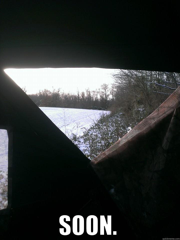 Deer Blind... SOON. -  SOON. Misc