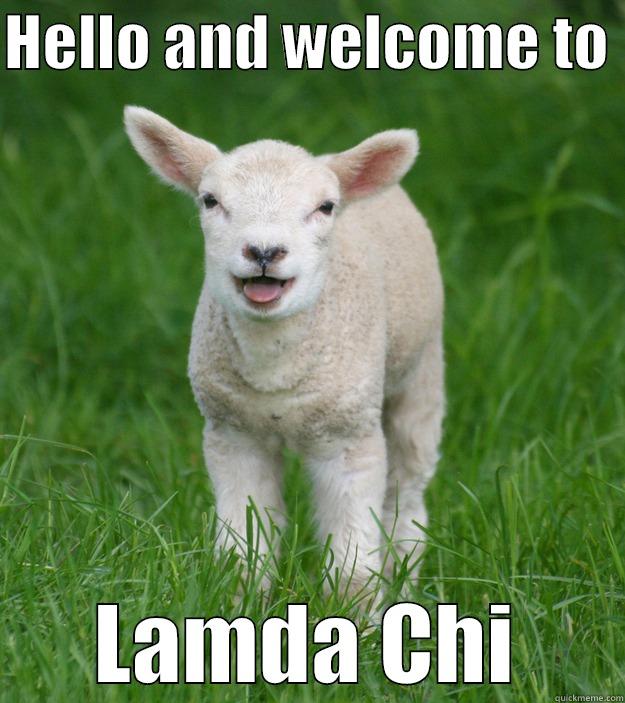 HELLO AND WELCOME TO  LAMDA CHI Misc