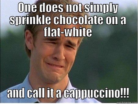 ONE DOES NOT SIMPLY SPRINKLE CHOCOLATE ON A FLAT-WHITE AND CALL IT A CAPPUCCINO!!! 1990s Problems