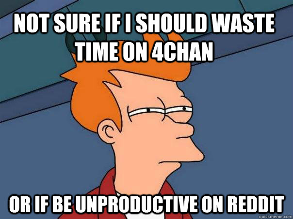 Not sure if I should waste time on 4chan Or if be unproductive on reddit - Not sure if I should waste time on 4chan Or if be unproductive on reddit  Futurama Fry