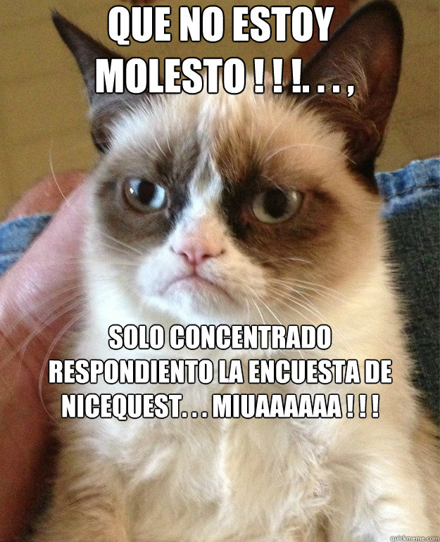 que no estoy
 molesto ! ! !. . . , solo concentrado 
respondiento la encuesta de Nicequest. . . miuaaaaaa ! ! !  