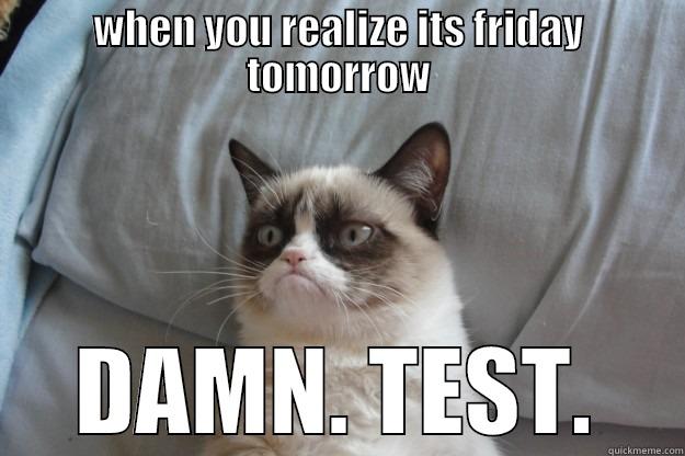 WHEN YOU REALIZE ITS FRIDAY TOMORROW DAMN. TEST. Grumpy Cat