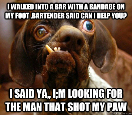 I walked into a bar with a bandage on my foot ,bartender said can I help you? I said ya,, I;m looking for the man that shot my paw - I walked into a bar with a bandage on my foot ,bartender said can I help you? I said ya,, I;m looking for the man that shot my paw  Ugly Advice Dog