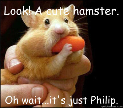 Look! A cute hamster. Oh wait...it's just Philip.  