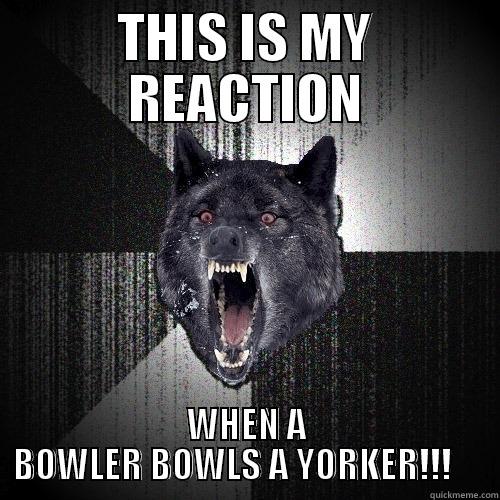 THIS IS MY REACTION WHEN A BOWLER BOWLS A YORKER!!!     Insanity Wolf