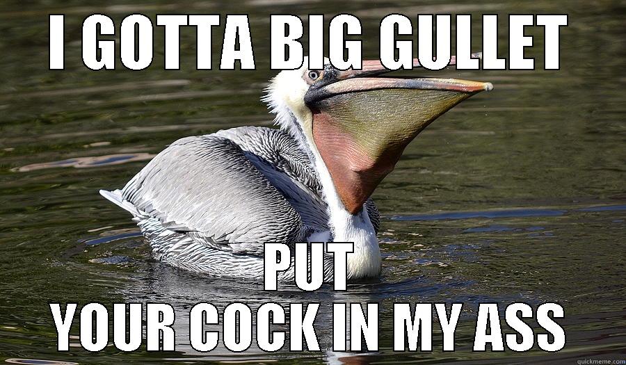 I GOTTA BIG GULLET PUT YOUR COCK IN MY ASS Misc