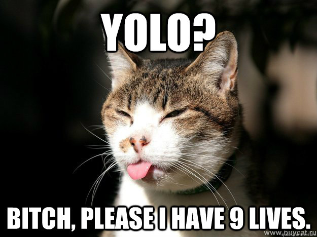 YOLO? Bitch, please I have 9 lives.  