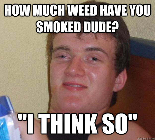 How much weed have you smoked dude? ''I think so'' - How much weed have you smoked dude? ''I think so''  10 Guy