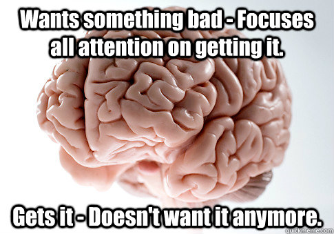 Wants something bad - Focuses all attention on getting it. Gets it - Doesn't want it anymore.   Scumbag Brain