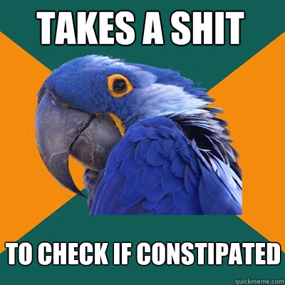 takes a shit TO CHECK IF CONSTIPATED - takes a shit TO CHECK IF CONSTIPATED  Paranoid Parrot