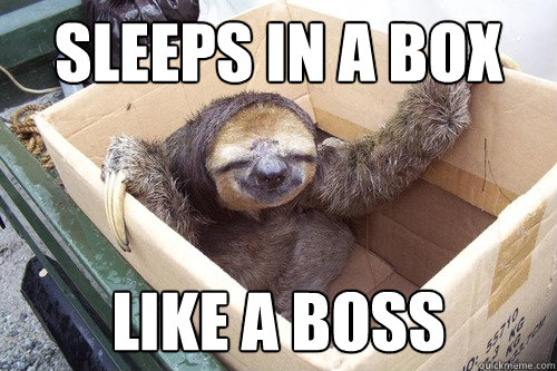 sleeps in a box like a boss - sleeps in a box like a boss  Optomistic Sloth