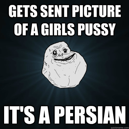 Gets sent picture of a girls pussy It's a persian  Forever Alone