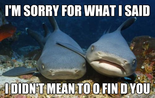 I'm sorry for what I said I didn't mean to O Fin D You  Compassionate Shark Friend