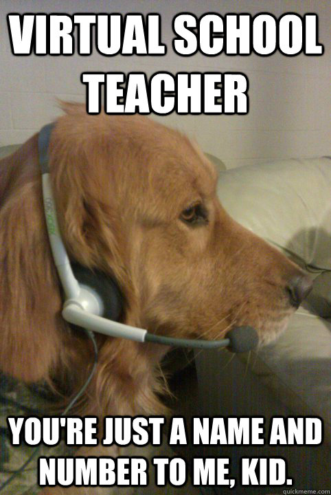 Virtual School Teacher You're just a name and number to me, kid.  Xbox Live Dog