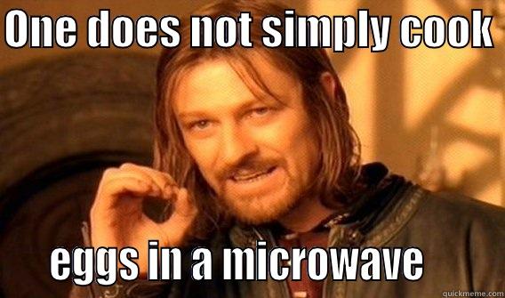 One does not eggs - ONE DOES NOT SIMPLY COOK     EGGS IN A MICROWAVE       One Does Not Simply