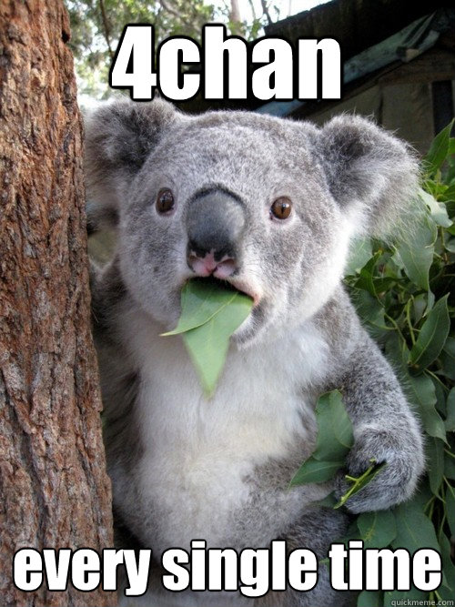 4chan
 every single time - 4chan
 every single time  Shocked Koala