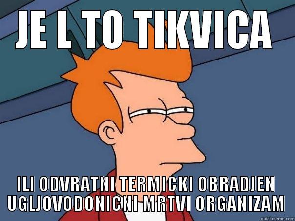 JE L TO TIKVICA ILI ODVRATNI TERMICKI OBRADJEN UGLJOVODONICNI MRTVI ORGANIZAM Futurama Fry