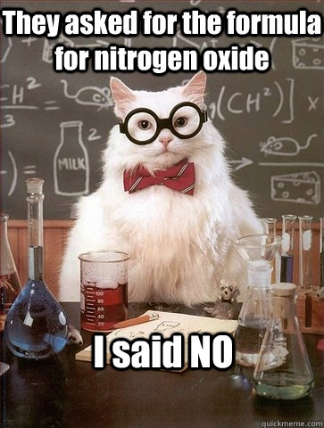 They asked for the formula for nitrogen oxide I said NO  Chemistry Cat