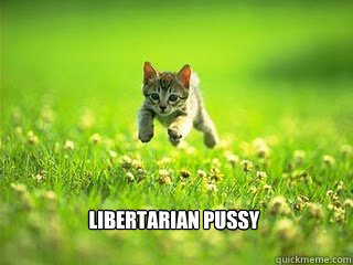  libertarian pussy  Excited Kitten