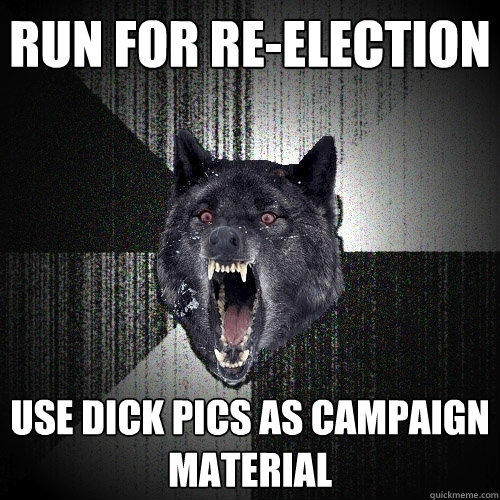 Run for re-election use dick pics as campaign material - Run for re-election use dick pics as campaign material  Insanity Wolf