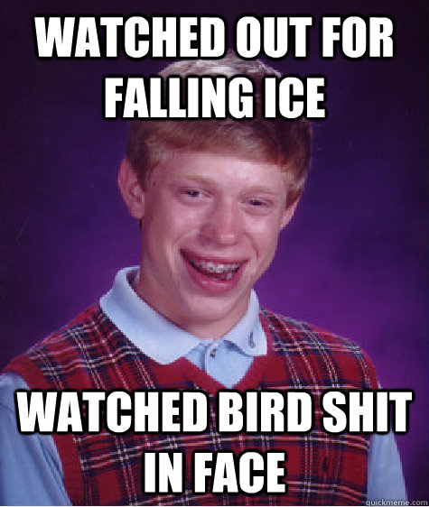 Watched out for falling ice  watched bird shit in face  Bad Luck Brian