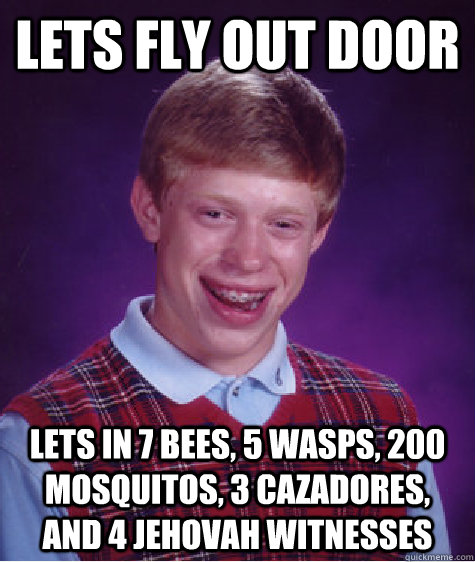 lets fly out door lets in 7 bees, 5 wasps, 200 mosquitos, 3 cazadores, and 4 Jehovah witnesses  Bad Luck Brian