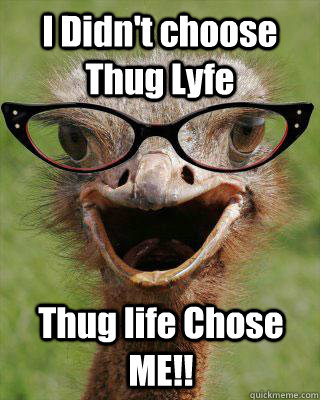 I Didn't choose Thug Lyfe Thug life Chose ME!!  Judgmental Bookseller Ostrich