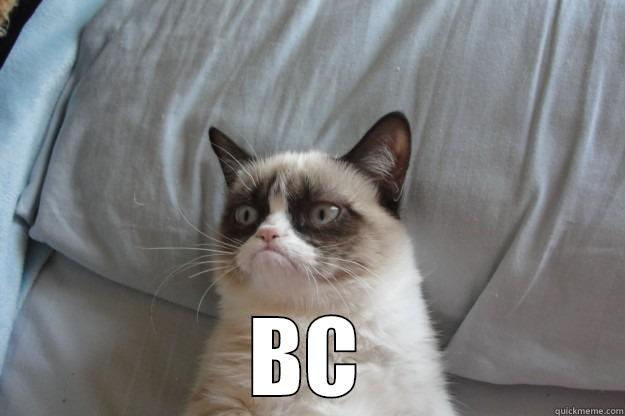  BC Grumpy Cat