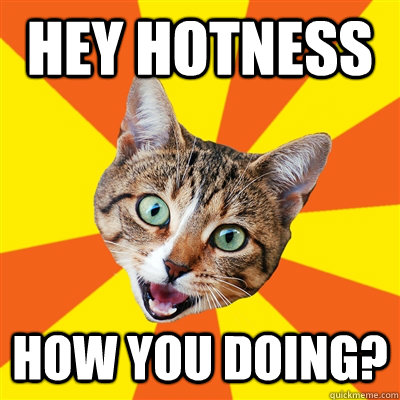 Hey hotness how you doing?  Bad Advice Cat