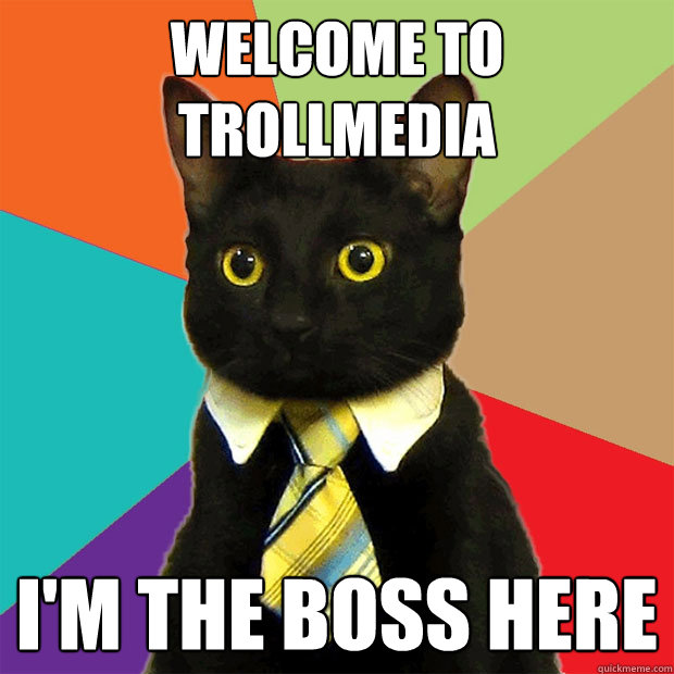 Welcome to TrollMedia I'm the boss here  Business Cat