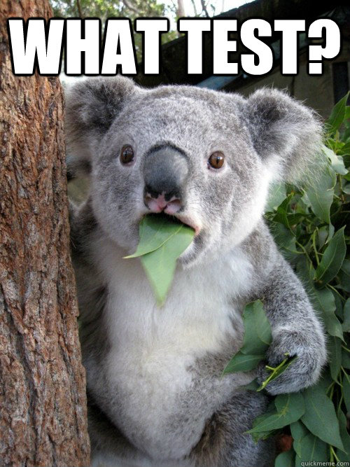 What Test?  - What Test?   koala bear