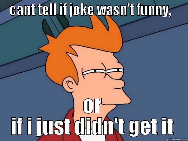 CANT TELL IF JOKE WASN'T FUNNY,   OR IF I JUST DIDN'T GET IT Futurama Fry