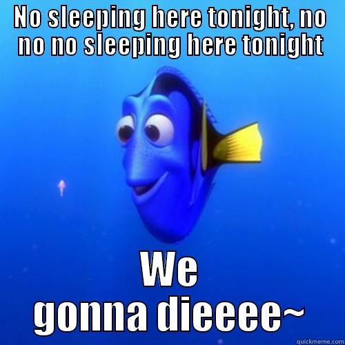 NO SLEEPING HERE TONIGHT, NO NO NO SLEEPING HERE TONIGHT WE GONNA DIEEEE~ dory