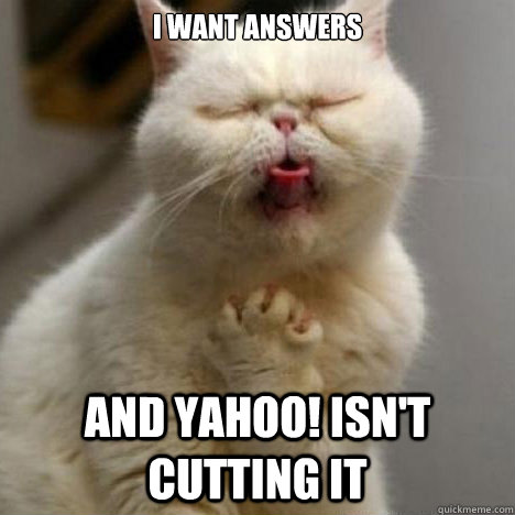 i want answers and Yahoo! isn't cutting it  Godfather Cat