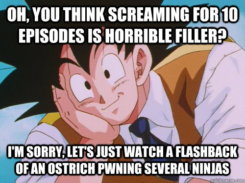 oh, you think screaming for 10 episodes is horrible filler? i'm sorry, let's just watch a flashback of an ostrich pwning several ninjas  Condescending Goku