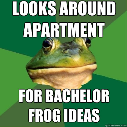 looks around apartment for bachelor frog ideas  Foul Bachelor Frog