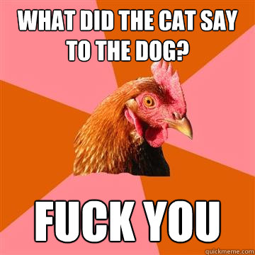 what did the cat say to the dog? fuck you - what did the cat say to the dog? fuck you  Anti-Joke Chicken