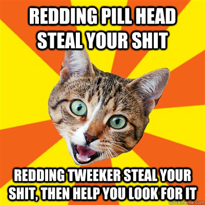 redding pill head steal your shit redding tweeker steal your shit, then help you look for it  Bad Advice Cat