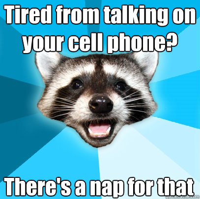 Tired from talking on your cell phone?
 There's a nap for that  Lame Pun Coon