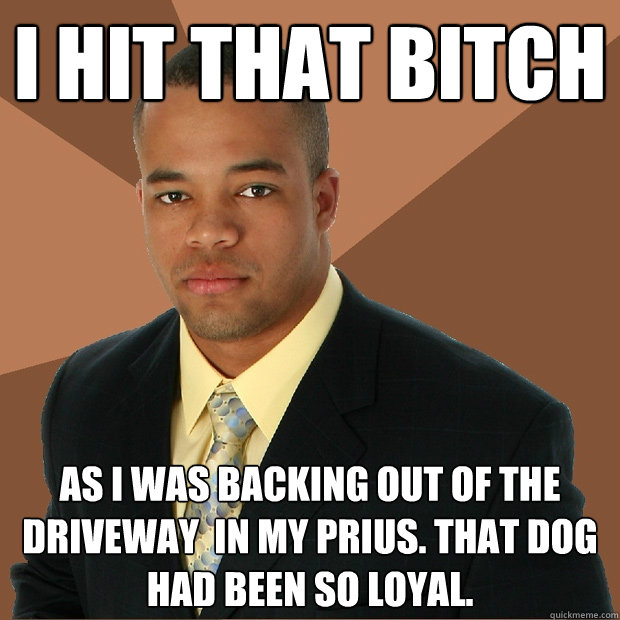 I hit that bitch as i was backing out of the driveway  in my prius. that dog had been so loyal.  Successful Black Man