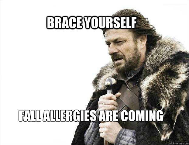 BRACE YOURSELF Fall allergies are coming - BRACE YOURSELF Fall allergies are coming  BRACE YOURSELF TIMELINE POSTS